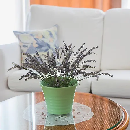 Apartment Mihatov *