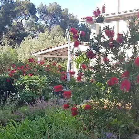 Apartmán Mihatov Zadar